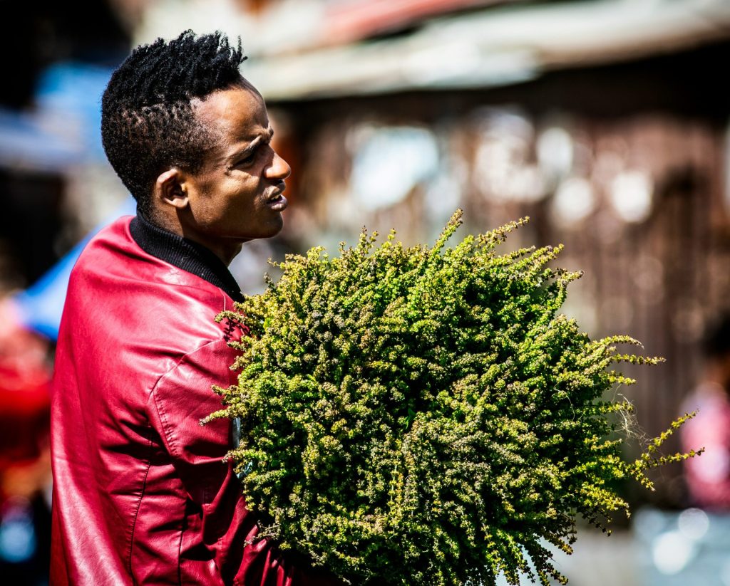 man carrying green plants